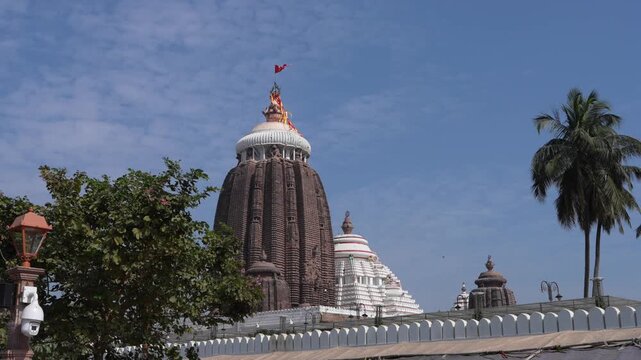 Jagannath Temple complex with palm trees and surrounding structures in Puri, India