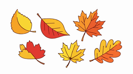 Fototapeta premium A colorful illustration of six different autumn leaves on a white background