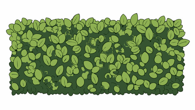 A dense, cartoonish green hedge with many oval-shaped leaves