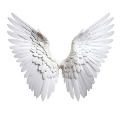 Obraz premium Pristine, white feathered wings, spread wide against a dark background