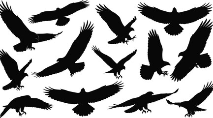 Obraz premium eagle, silhouette, flying, hunting, bird, raptor, motion, wing, posture, black, white, icon, illustration, vector, design, symbol, nature, predator, flight, animal