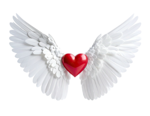 Red heart with white feathered wings, centered on black background