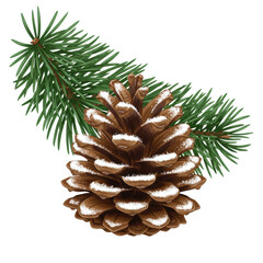 Fototapeta premium A detailed brown pine cone, dusted with sparkling white snow, vibrant green pine needles, isolated on a transparent background, elegant winter botanical illustration concept