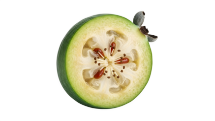 A halved melon isolated on transparent background