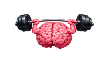 Pink human brain character with strong arms lifting a heavy barbell, symbolizing brain power, smart thinking, and education