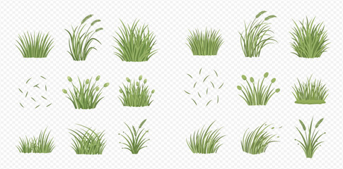 Set of green grass and bush elements, various shapes and sizes for natural landscape design.