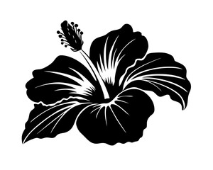 black and white flowers