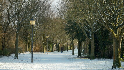 Allee im Winter