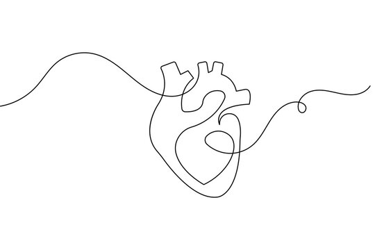 Minimalist anatomical heart single line art for medical and healthcare concept vector illustration