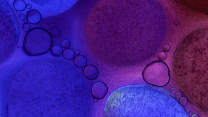 Oil bubbles floating in colored water - Macro