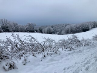Eiszeit im Bergischen Land / Landschaft zwischen Wald und Wiese mit Feldern im  Schnee mit Raureif
