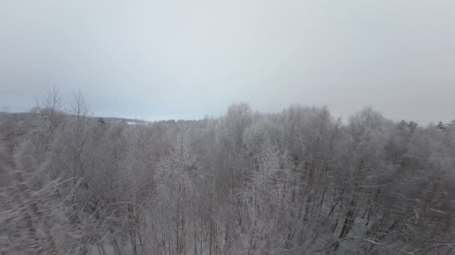 Smooth FPV drone flight above leafless deciduous trees covered in frost and snow. Captures a serene, overcast winter atmosphere with delicate icy branches and soft motion.