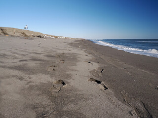 豊頃町にある大津海岸