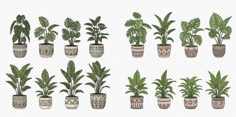 Collection of various potted houseplants with green leaves and decorative planters, isolated on a transparent background.