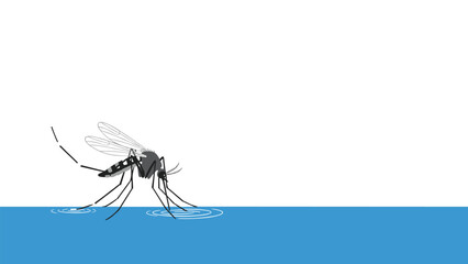A mosquito is depicted resting on a water surface, creating ripples, symbolizing insect interaction with aquatic environments and public health concerns.