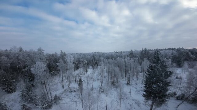 Smooth FPV drone flight above leafless deciduous trees covered in frost and snow. Captures a serene, overcast winter atmosphere with delicate icy branches and soft motion.