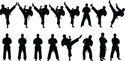 Black martial arts silhouettes collection showing karate fighter poses, high kicks, standing positions and taekwondo combat moves for sports graphic design. © Shain