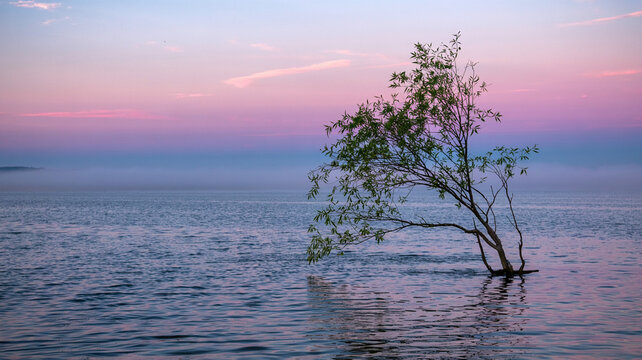 A tender silence lingers