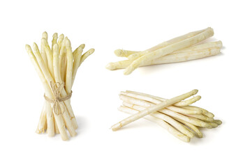 White Asparagus Isolated, Raw Garden Vegetables Bunch, Edible Sprouts of Asparagus Officinalis