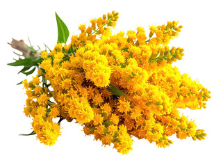 A vibrant bouquet, a cascade of sunshine-yellow, intricate blooms and green foliage