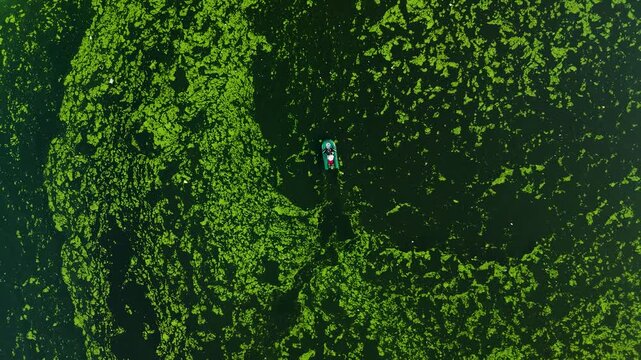 High-angle overhead perspective of a small inflatable boat navigating through thick green moss and algae on a calm lake surface, highlighting natural patterns and textures.