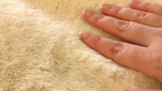 Close-up of a woman's hand touching fluffy beige fur. Coats, fur coats made of artificial fur.