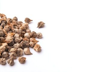 Obraz premium Collection of small dry seeds on a white surface with scattered arrangement