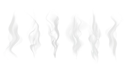 Realistic steam or smoke on hot tea, coffee, food. PNG Stock royalty free.  © Vector light Studio