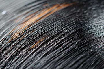 Detailed close up of shiny black hair strands showcasing texture and shine, creating elegant and captivating visual