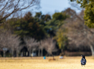 視線の先に  © Hirofumi