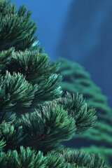 Huangshan tree branches under a clear sky in daytime