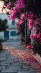 Bougainvillea flowers frame stone path in greece
