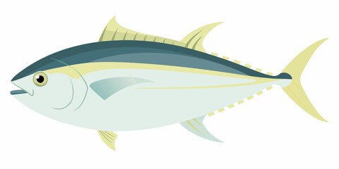 Obraz premium A detailed illustration of a bluefin tuna swimming in a marine environment