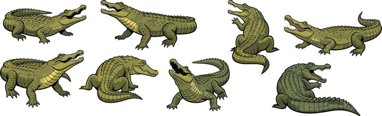 Cartoon crocodile illustrations, green reptile characters, playful animal poses, kids design elements, vector art, wildlife clipart, fun crocodile graphics © tajwar