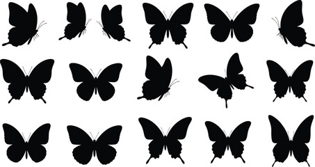 Fototapeta premium Butterfly silhouettes collection various black butterfly shapes and forms