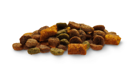 Dry cat food isolated on transparent background