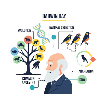 Illustration of charles darwin explaining evolution and natural selection on darwin day with a tree of life and birds with biology and science