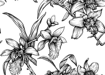 Vanilla orchid seamless coloring page. Botanical outline with hand drawn vanilla flowers branches leaves and pods. Vintage decorative motif for printable kitchen dessert sweet food textile projects.
