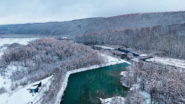 BIEI, HOKKAIDO - JANUARY 2025: Aerial view of tourists visiting the famous Shirogane Blue Pond surrounded by frozen trees and snow during winter in Japan.