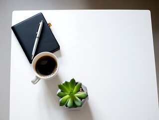 Minimalist workspace setup