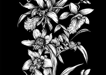 Vanilla orchid seamless coloring page. Botanical outline with hand drawn vanilla flowers branches leaves and pods. Vintage decorative motif for printable kitchen dessert sweet food textile projects.