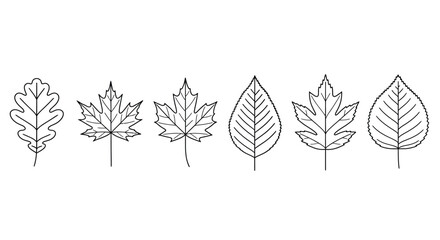 Various leaf shapes and designs © Nur