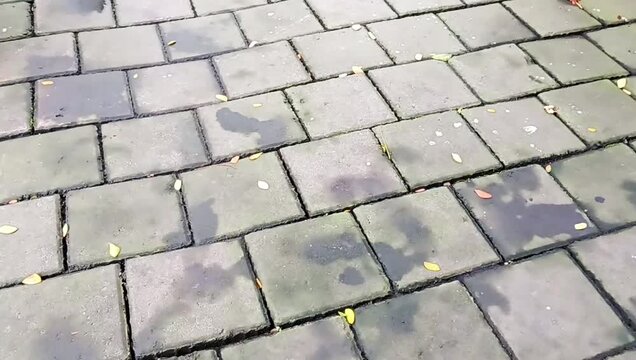 The square paving blocks are wet gray and contain dry leaves
