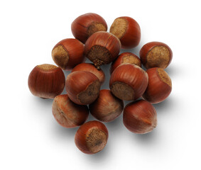 Obraz premium Hazelnut isolated on transparent background