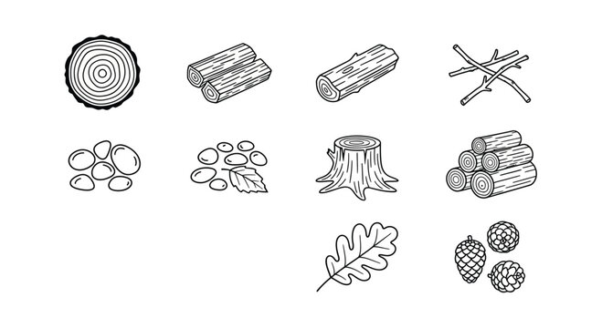 Various stages and elements of wood and tree