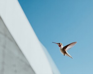 Obraz premium Premium Hummingbird Design Element Pixel Pink, Shadow Black, Glitch Purple for Modern Creative Assets and Web Use