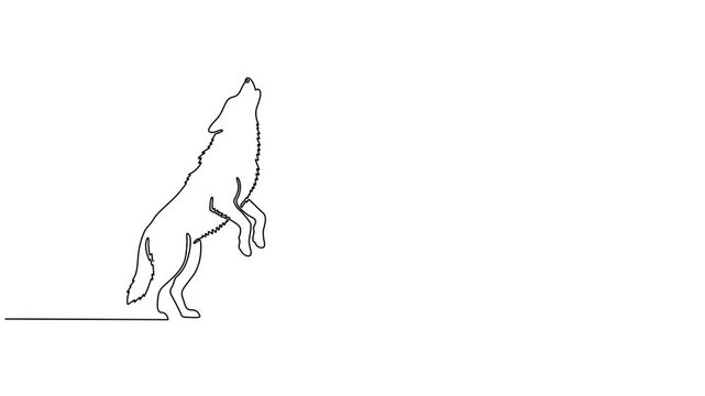 Minimalist Line Art Majestic Howling Wolf Design for Nature and Wildlife Enthusiasts, Animated self drawing of One line drawing of wolf head in profile. Wolves mascot concept. Trendy continuous line