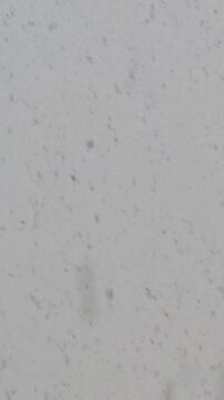 Snowfall on a gray sky background