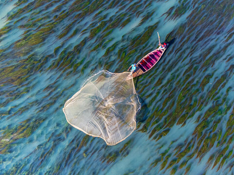 Rajshahi, Bangladesh - 13 December 2025: Aerial view of a lone fisherman casting his net from a small boat on the tranquil waters of Padma River.