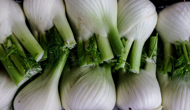 Chivasso, Piedmont, Italy - November 15, 2025: Fennel for sale at the food market.